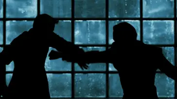 Neo and Smith fight in silhouette in the Matrix Revolutions.